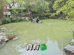 -汇龙潭