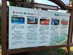 -洈水景区