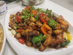 -煲来饱去冷水鱼