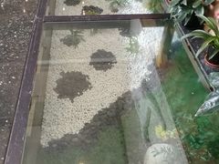 -上海如意智慧酒店(上海科学院店)