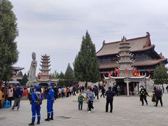 -大槐树寻根祭祖园