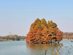 -尚湖风景区