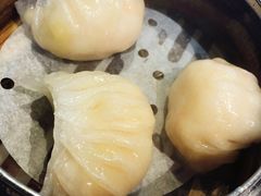 -糖朝(尖沙咀店)