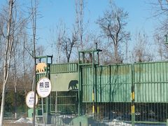 -秦皇岛野生动物园