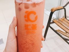 莓莓乳酸菌-汇茶(上邦店)