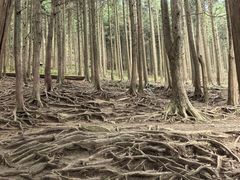 -含鄱口