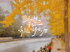 -成都市活水公园