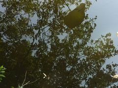 -韶山毛泽东同志故居