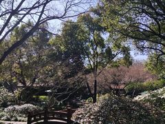 -中国茶叶博物馆(双峰馆区)