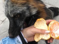 -九鼎铁刹山风景区