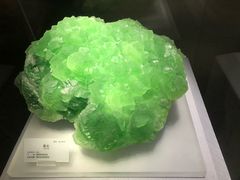 -湖南省地质博物馆