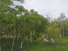 -伊犁河风景区