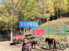 -塞罕坝国家级自然保护区