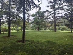 -康庄公园