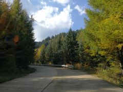 -芦芽山旅游度假区
