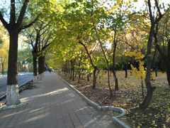 -吉林大学(南岭校区)