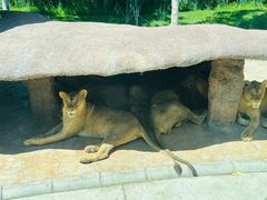 -北京野生动物园