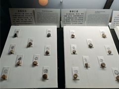 -古陶文明博物馆