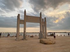 -宝安西湾红树林湿地公园