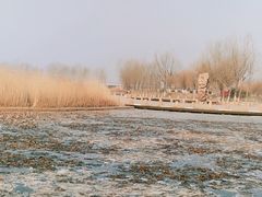 -绿堤公园