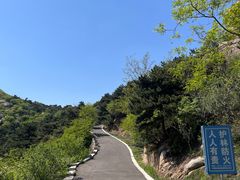 -鲁山国家森林公园