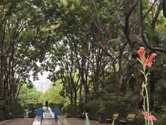 -苏州河梦清园环保主题公园