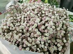 -花木兰花艺MULAN(温馨花园店)