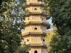 -灵谷景区