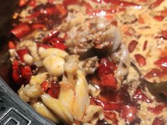美蛙-销魂美蛙鱼头火锅(上海首店)