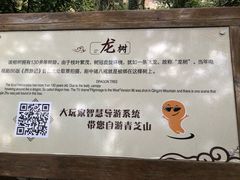 -青芝山风景名胜区