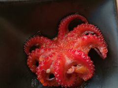 -视界美食自助餐厅·石家庄希尔顿酒店