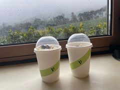 -白茶原·一片叶子