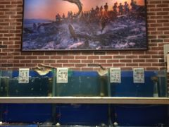 水产区-姜君·千岛湖鱼头馆(浦东大道店)