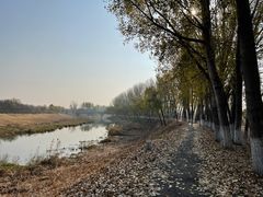 -东郊湿地公园