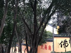 -赭山公园