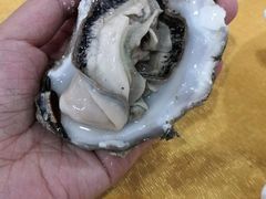 -蚝专家(北滘店)