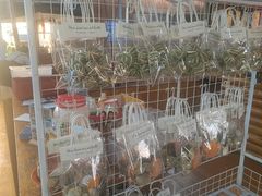 -蓝湾碧波·老字号·疍家非遗海上餐厅