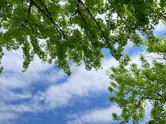 -眉山湿地公园(东坡区)