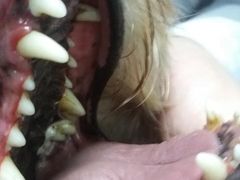 -中农大我爱我爱24h动物医院·中医针灸·猫专科·骨科医疗中心(双井店)