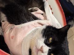 -平行世界·猫咖(首经贸店)