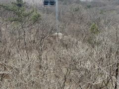 -富斯特索道