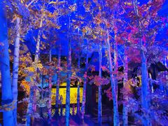 -华夏文旅西安度假区