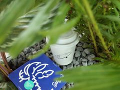 -Seesaw Coffee(深圳万象天地店)