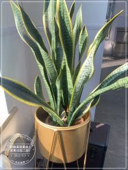 -LJOY丽锦造型·烫发染发