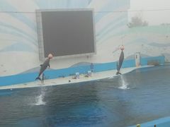 -北戴河圣蓝海洋公园