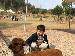 -黄龙溪欢乐田园