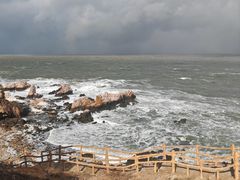 -养马岛旅游度假区