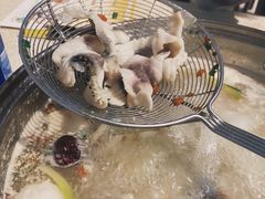 -正能量脆肉鲩火锅