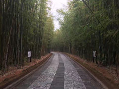 -蝴蝶泉公园