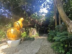 -广西壮族自治区药用植物园